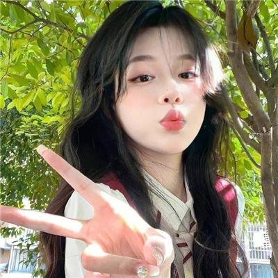 金式森林粤语